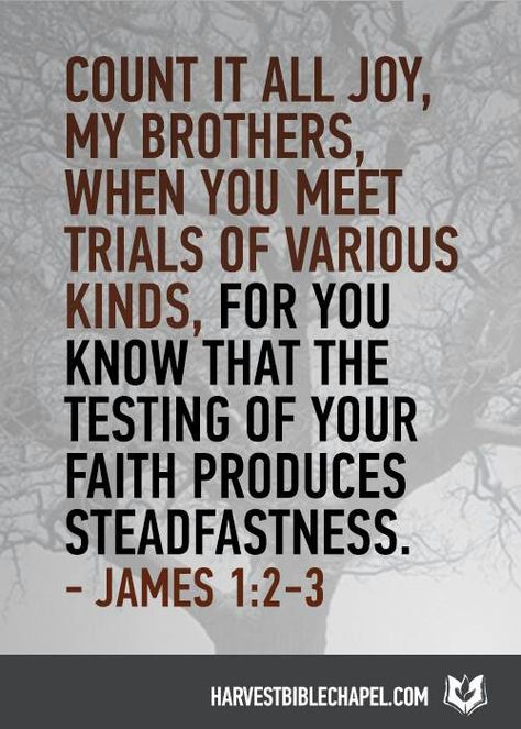 Count it ALL Joy. James 1 2 3, The Book Of James, Count It All Joy, Book Of James, Whatever Is True, Biblical Encouragement, Words Worth, Prayer Scriptures, Self Reminder