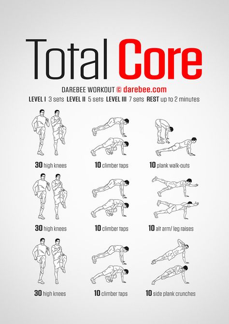 Total Core Workout Darbee Core Workout, Core Burning Workout, Darebee Workout, Exercises For Beginners, Beginner Workouts, Muscle Abdominal, Ab Workout Men, Kickboxing Workout, Kettlebell Training