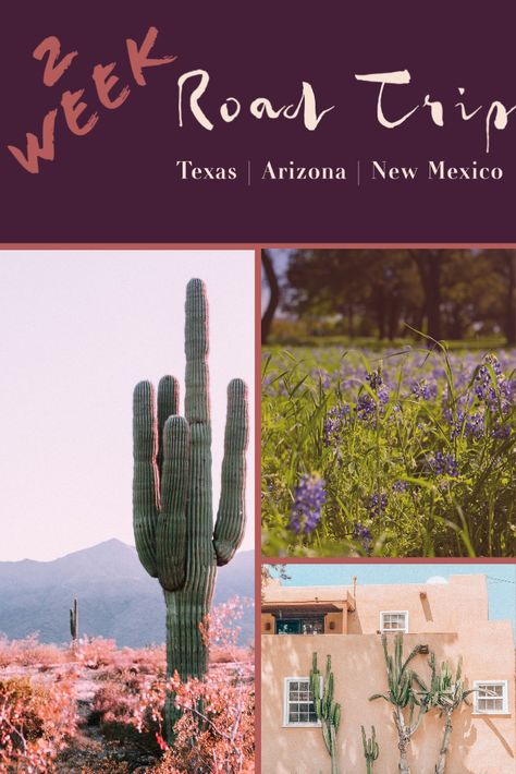 New Mexico Travel Itinerary, Arizona New Mexico Road Trip, Arizona And New Mexico Road Trip, Arizona 4 Days, Southwest Road Trip Itinerary, Southwest Usa Roadtrip, Earthship Biotecture, Fort Worth Zoo, New Mexico Road Trip