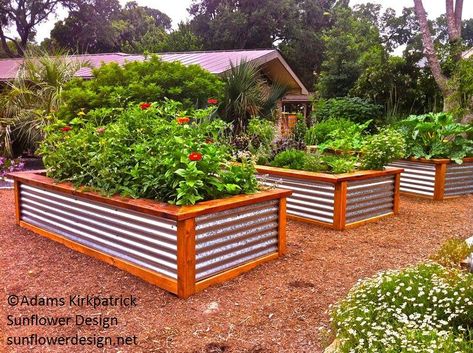 Raised Bed with Galvanized Tin. #metalraisedbeds Tall Raised Garden Beds, Garden Bed Layout, Metal Garden Beds, Funny Vine, Raised Bed Garden Design, Metal Raised Garden Beds, Raised Flower Beds, Building A Raised Garden, Diy Raised Garden