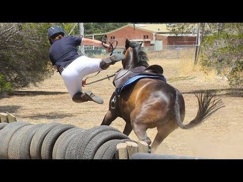 Horse Falls Compilation - Epic Equestrian Falls and Fails - Best Bad Horse Riding and Pony Fails - YouTube #horsebackriding #horseback #riding #fails Horse Falls, Funny Horse Videos, Fail Better, Horse Riding Clothes, Horse Dressage, Star Stable, Horse Videos, Western Riding, Horse Accessories