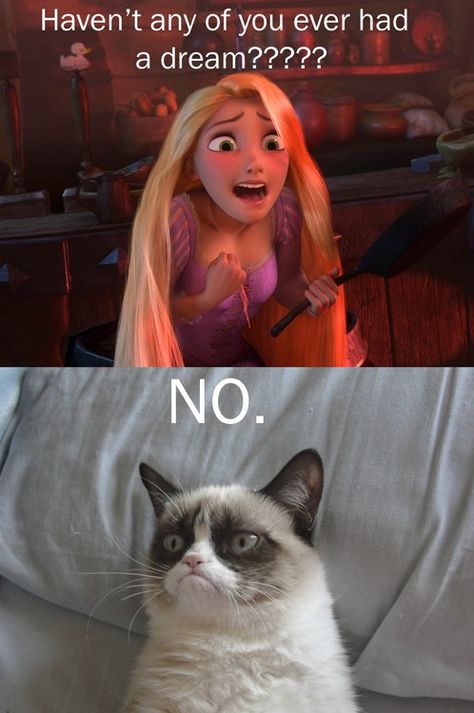 Grumpy Cat Disney, Grump Cat, Grumpy Cat Meme, Grumpy Cat Quotes, Cat Humor, Cat Jokes, Funny Disney Memes, Cute Animal Memes, Humor Mexicano