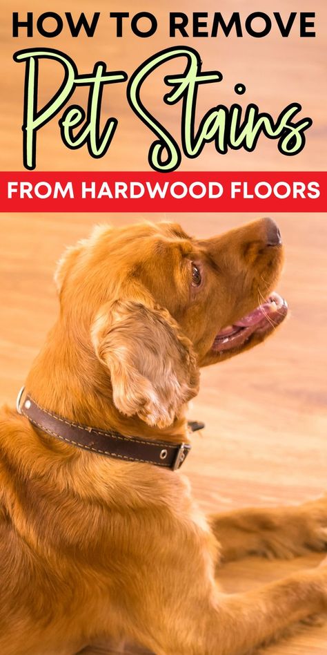 How To Get Rid Of Dog Urine Smell Hardwood Floors, Cleaning Dog Pee On Hardwood, How To Get Dog Pee Smell Out Of Hardwood, How To Get Dog Pee Stains Out Of Wood Floors, Cleaning Pet Urine From Hardwood Floors, Dog Urine Odor Remover Hardwood Floors, Dog Pee Smell, Pet Urine Smell, Pee Stains