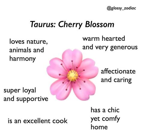 Taurus Memes, Sun In Taurus, Taurus Traits, Taurus And Scorpio, Taurus Zodiac Facts, Taurus Quotes, Astrology Taurus, Libra Zodiac Facts, Zodiac Funny