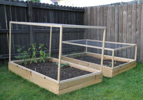 This Instructable will take you through the process of making hinged covers for your raised garden beds. This will help you keep all the wildlife out of your garden and prevent them from eating all your plants. A bunch of my plants that were well established, were all eaten the other day - likely from an adorable bunny in my yard. So, I was on a mission to fix this problem fast! So, let's get started! Squirrel Proof Garden, Raised Garden Boxes, Allotment Ideas, Building Raised Garden Beds, Vegetable Garden Raised Beds, Building A Raised Garden, Vegetable Garden Planning, Backyard Gardening, Diy Raised Garden