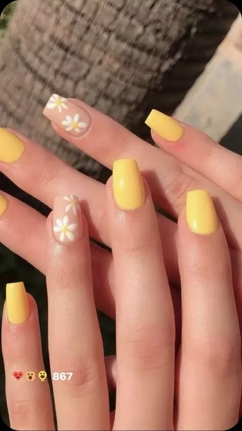 Acrylic Nails Yellow, Paznokcie Hello Kitty, Nails Yellow, Spring Acrylic Nails, Cute Simple Nails, Simple Gel Nails, Simple Acrylic Nails, Colorful Nails, Aesthetic Nails