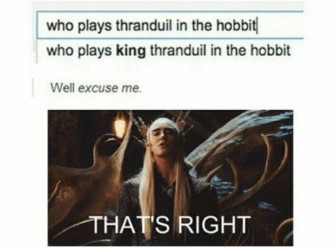 Fab Thranduil, played by the fabulous Lee Pace, of course!! Thranduil Funny, Elf Memes, The Hobbit Thranduil, Hobbit Funny, Tolkien Hobbit, Legolas And Thranduil, Lotr Funny, Cute Fantasy Creatures, Lee Pace