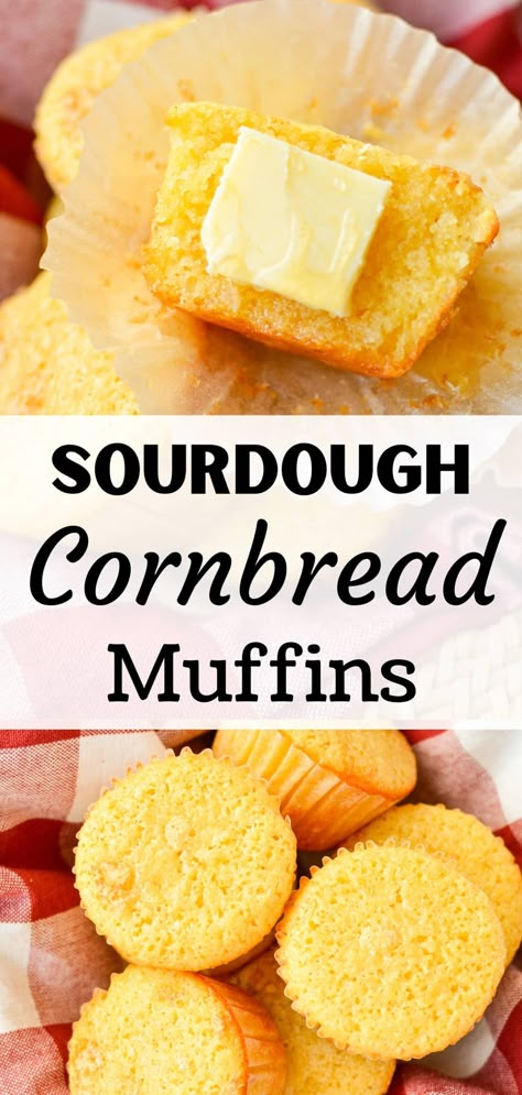 Sourdough Cornbread Muffins, Fermented Sourdough Muffins, Sourdough Corn Muffins, Sourdough Discard Muffins, Small Batch Corn Muffins, Corn Meal Muffins Easy, Corn Meal Muffins, Sourdough Cornbread Recipe, Honey Cornbread Muffins