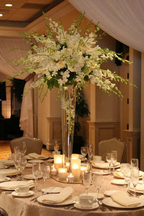 white orchid centerpiece! Wish I could make these myself! White Orchid Centerpiece, Tall Vase Centerpieces, Orchid Centerpieces Wedding, Wedding Flower Arrangements Table, England Kitchen, Eiffel Tower Centerpiece, Orchid Centerpiece, White Bridal Flowers, Quince Decor