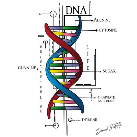 Biology Dna Art, Dna Drawing Science, Dna Aesthetic, Dna Poster, Dna E Rna, A2 Size Paper, Dna Drawing, Microbiology Study, Dna Fingerprinting