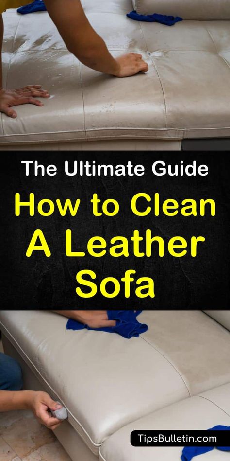 Learn how to clean a leather sofa or couch at home using products like olive oils and vinegar. These DIY tips will teach you how to remove stains from your living room furniture. Discover how to make simple cleaning solutions at home to clean your leather sofa. #leather #cleanleather #leathersofa Homemade Toilet Cleaner, Cleaning Painted Walls, Glass Cooktop, Deep Cleaning Tips, Toilet Cleaner, Leather Couch, Clean Dishwasher, Simple Life Hacks, Toilet Cleaning