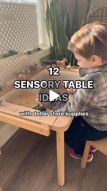 Elizabeth {BOOKS FOR KIDS + PLAY IDEAS} on Instagram: "Looking for inexpensive, simple and FUN sensory ideas? Keep reading!   Our sensory table is the Flisat table from @ikeausa. If you don’t have a sensory table, any of these ideas can be done using a plastic tub! Which sensory table idea do you think your kiddo would like to try first?!   JANUARY  🐧 Polar Animals  White beans, white rice, blue marbles, cotton balls, snowflake beads and arctic animals.   FEBRUARY  ♥️ Valentines Day  Cloud dough (flour & veggie oil), fake rose petals, silicone cupcake containers, heart cookie cutters and heart candies.   MARCH  🐦 Birds  Bird seed, nest pieces, fake eggs, sticks, rocks, pine cones, feathers, pom-poms and decorative birds.   APRIL  🐞 Bugs and Insects  Sand, rocks, black beans, moss, magni Make Your Own Sensory Bin, Sensory Bin Ideas For Preschool, Sensory Table Ideas For Preschool Spring, Diy Sensory Table With Ikea Bins, Flisat Sensory Table Ideas, Pet Themed Sensory Table, Winter Sensory Table Ideas For Preschool, Pet Study Sensory Table, Sensory Tray Ideas