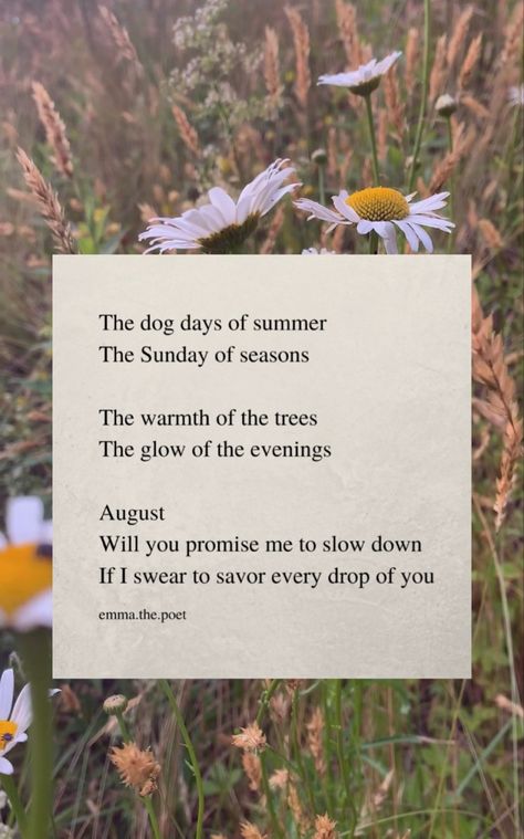 It Was Late August, August Aesthetic Quote, August Leo Aesthetic, August Asthetic Picture, Late Summer Quotes, August Birthday Aesthetic, August Vibes Aesthetic, Virgo Lifestyle, Poems About Summer