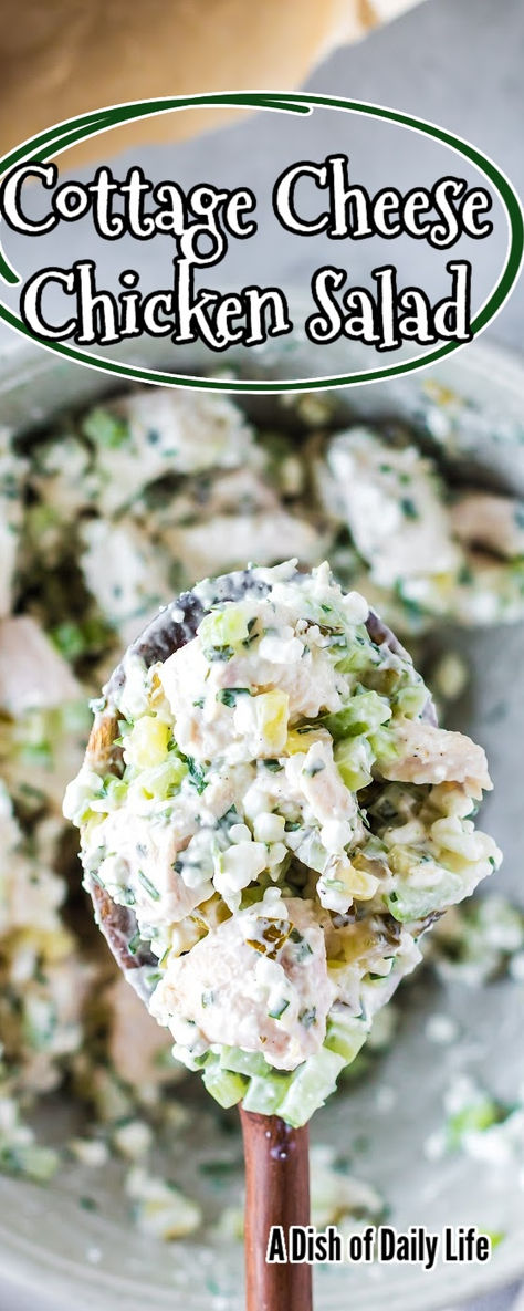 Cottage Cheese Chicken Salad is a game-changer for your lunchtime routine! It’s easy to make, is filling, tastes great, and is actually good for you too! #dishofdailylife #numstheword #cottagecheesechickensalad #chickensaladwithcottagecheese #chickensaladmadewithcottagecheese #chickensaladcottagecheese #healthychickenandcottagecheeserecipe #chickensaladrecipewithcottagecheese #cottagecheesechickensandwich #chickencottagecheesesalad #cottagecheesechicken #cottagecheesesalad Chicken Salad Recipe Cottage Cheese, Chicken Salad Made With Cottage Cheese, How To Make Cottage Cheese Taste Good, Carnivore Chicken Salad Recipe, Cottage Cheese Salad Dressing Recipes, Chicken Salad Variations, Carnivore Chicken Salad, Cottage Cheese Recipes Healthy Lunches, Cottage Cheese Tuna Salad