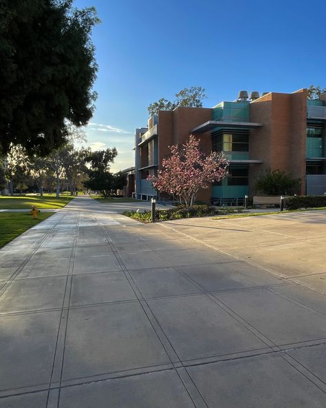 Uc Riverside Aesthetic, Uc Riverside, University Of Southern California Aesthetic, Ucsb Campus, Ucsd Campus, Uc Irvine Campus, Campus Aesthetic, University Of California Riverside, Riverside California