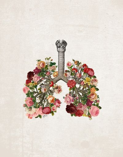 Kunstjournal Inspiration, Tattoo Placements, طابع بريدي, Vintage Hipster, Arte Inspo, Nature Tattoos, E Card, Anatomy Art, Lungs