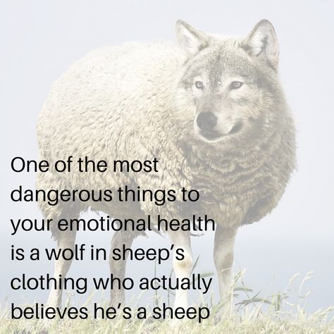 One of the most dangerous things to your emotional health is a wolf in sheep's clothing who actually believes he's a sheep. Snake In Sheeps Clothing Quote, Wolf In Sheep’s Clothing Quotes, A Wolf In Sheeps Clothing Quotes, Beware Of Wolf In Sheeps Clothing Quotes, A Wolf In Sheep's Clothing, Wolf In Sheep’s Clothing, Wolves In Sheeps Clothing Quotes, Wolf In Sheeps Clothing Quotes, Snake Clothing