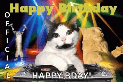 Happy Birthday GIF - Happy Birthday DJ - Discover & Share GIFs A Cat, Happy Birthday, Gif, Birthday