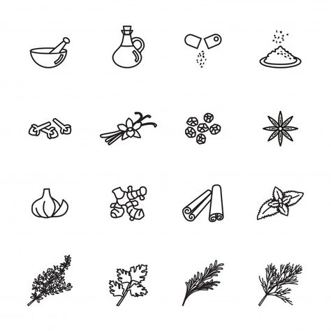 Infographic Templates, Icon Set, Condiments, Herbs