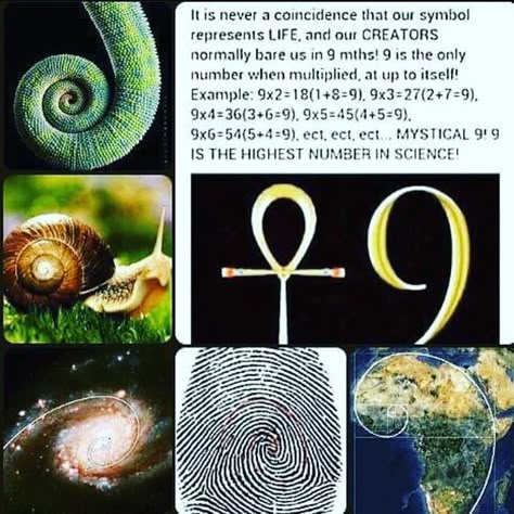 Learn about the mystical number 9! Kemetic Spirituality, Number Nine, African Spirituality, Spirit Science, Symbols And Meanings, Black Knowledge, Art Fractal, Number 9, Ancient Knowledge