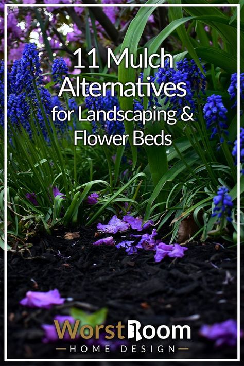 mulch alternatives Simple Mulch Bed Ideas, Mulch Free Landscaping, Slate Mulch Landscaping, Rocks As Mulch Landscape Design, Instead Of Mulch What To Use, Cheap Mulch Alternatives, Mulch Landscaping Ideas Around House, No Mulch Flower Beds, Mulch Substitute Ideas