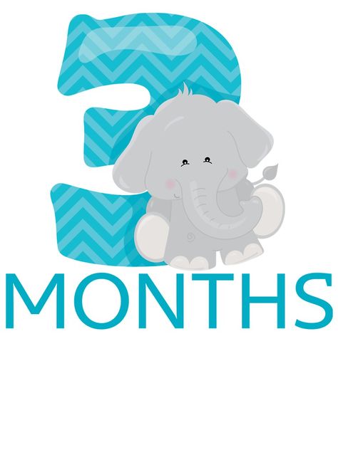 3 Month Sticker, Monthly Baby Photos Boy, Baby Journal Book, Zebra Illustration, Teddy Bear Crafts, Baby Birthday Card, Baby Boy Quotes, Baby Milestones Pictures, Baby Month Stickers