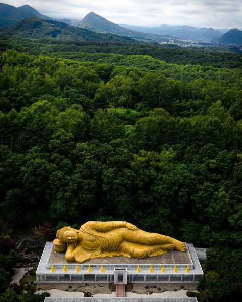 Buddha Nature, Statue Of Buddha, Reclining Buddha, Hokkaido Japan, Japanese Temple, Buddha Statues, Buddha Image, Up North, Seasonal Flowers