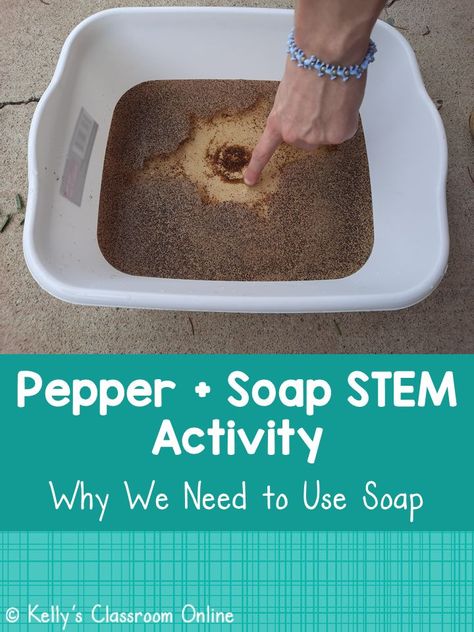 A plastic tub is filled with water and ground pepper. Someone is sticking their finger into the water and swirling it around. #kellysclassroomonline Soap Experiment, Investigatory Project, Scientific Process, Science Concepts, School Science Projects, Stem Experiments, Science Questions, Fun Facts About Animals, Stem Activity