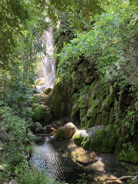 Colorado Bend State Park, Texas Travel Guide, Texas State Parks, Texas Adventure, State Park Camping, Camping Places, Hiking Guide, Park Photography, Colorado Hiking