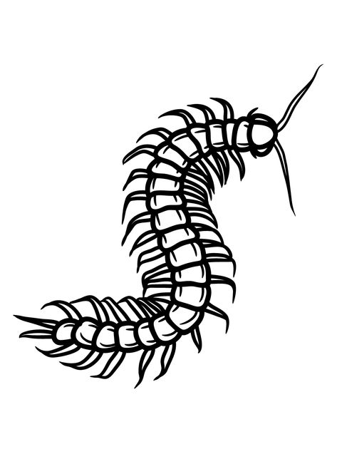 Centipede - Lol Coloring Pages Bug Outlines, Lol Coloring Pages, Lol Coloring, Insect Coloring Pages, Art Coloring Pages, Types Of Bees, Fake Skin, Patch Ideas, Tattoo Black