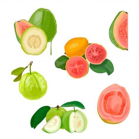 Tasty guava illustration Premium Vector | Premium Vector #Freepik #vector #poster #watercolor #food #summer Guava Illustration, Guava Drawing, Pink Object, Plants Kindergarten, Healthy Design, Strawberry Guava, Guava Fruit, Fruit Fresh, Fig Fruit