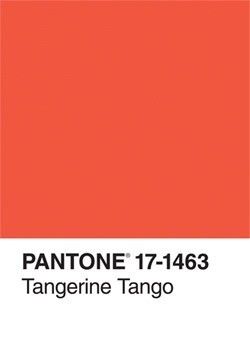 Tangerine Tango. Pantone Orange, Pantone Palette, Pantone Colour Palettes, Pantone Colors, Chronicle Books, Color Crush, Unique Book, Color Inspo, Colour Board