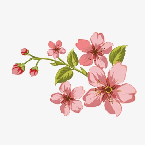 Vector Rose Flower, Flower Graphic Design Illustration, Flower No Background, Hand Painting Flowers, Flower Vector Png, Hand And Flower, Flowers Illustration Art, Flora Vector, Flower Draw