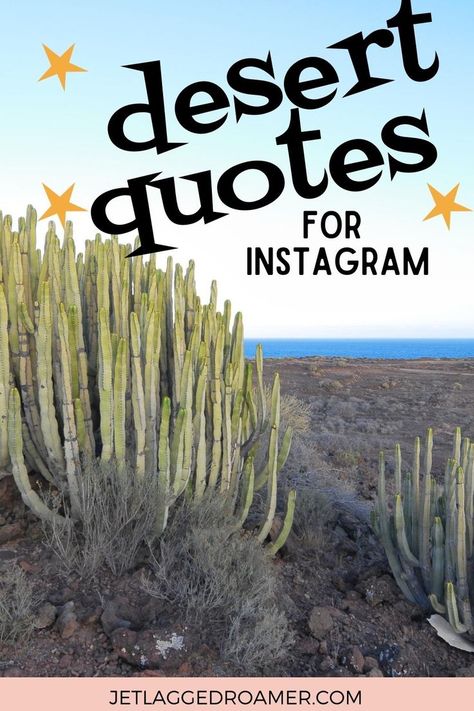 TEXT SAYS DESERT QUOTES FOR INSTAGRAM. DESERT. Desert Flower Quotes, Desert Love Quotes, Quotes About The Desert, Desert Sayings, Desert Quotes Instagram, Desert Captions For Instagram, Desert Quotes, Desert Words, Arizona Quotes