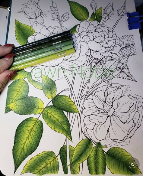 Art Color Pencil, Art Colored Pencil, Colored Pencil Art Projects, Blending Colored Pencils, Pencil Techniques, Color Pencil Illustration, Gardens Coloring Book, Prismacolor Art, Colored Pencil Tutorial