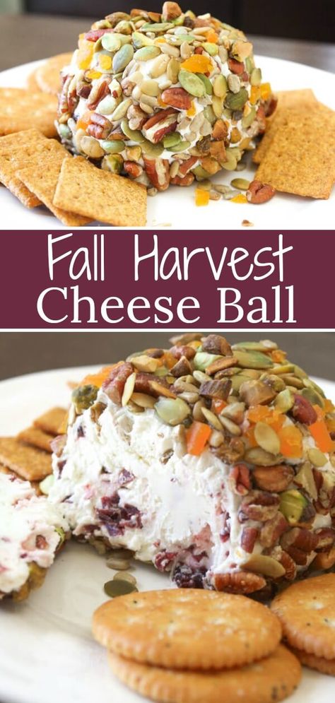 Fall Cheeseball Recipes, Harvest Recipes Fall, Fall Cheeseball, Fall Appetizers For Party Autumn, Fall Harvest Party Food, Fall Dips And Appetizers, Fall Dips, Cheeseball Recipes, Ball Cheese