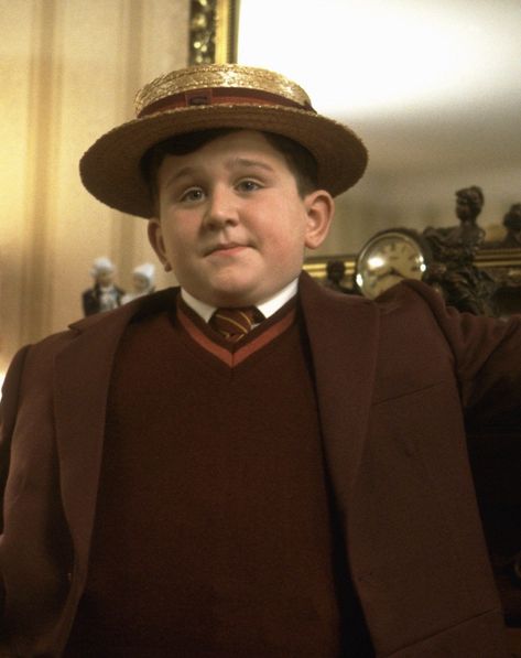 Harry Melling Dudley Harry Potter, Harry Melling, Dudley Dursley, Bones Aesthetic, Bee Costumes, The Chamber Of Secrets, Bee Costume, Harry Potter And The Chamber Of Secrets, Chamber Of Secrets