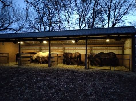 Simple Stable Ideas, Haybale Storage, Run In Horse Shelter, Lean To Horse Stalls, Homemade Horse Stalls, Horse Arena Ideas Outdoor, Outdoor Horse Stall Ideas, Horse Dry Lots, Horse Lean To