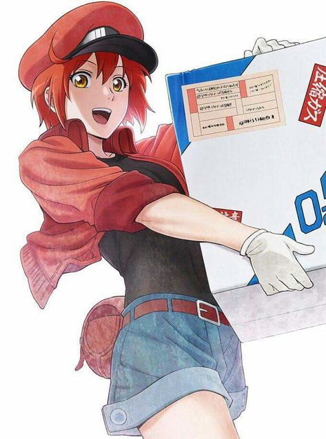 Hataraku saibou | cells at work! Cells At Work, Slice Of Life Anime, At Work, Really Cool Drawings, Muse Art, Red Blood, Red Blood Cells, Blood Cells, Cartoon Tv