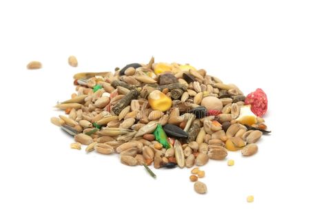 Hamster Food Mix. A pile of hamster food mix isolated on a white background #Sponsored , #Sponsored, #paid, #Mix, #Hamster, #hamster, #pile Cereal Grain, Hamster Food, Food Labels, Black Eyed Peas, Pet Food, Rye, Dog Food Recipes, Food Animals, Cereal