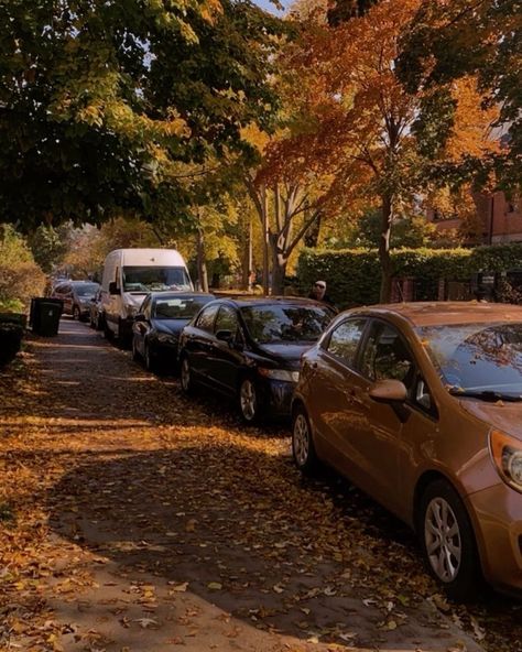 Less is more Fall Aesthetic Trees, City Outskirts, Toronto Fall, Toronto Aesthetic, Aesthetic Trees, Night Autumn, Toronto Photography, Photography City, New Money