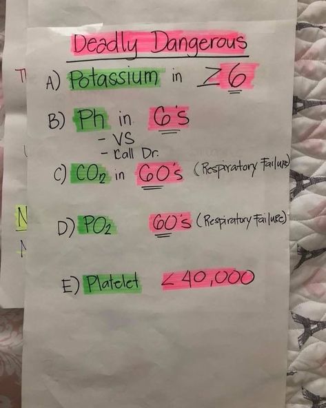 Med Surge, Cna School, Nursing Information, Nursing Board, Nursing School Essential, School Nursing, Nursing School Motivation, Nurse Study Notes, Ob Nursing