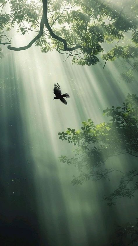 Peaceful Landscapes Photography, Nature Serenity, Take A Moment To Breathe, Dark Purple Wallpaper, Bird In Flight, Ayat Alkitab, Simple Joys, Trending Pins, Landscape Art Painting