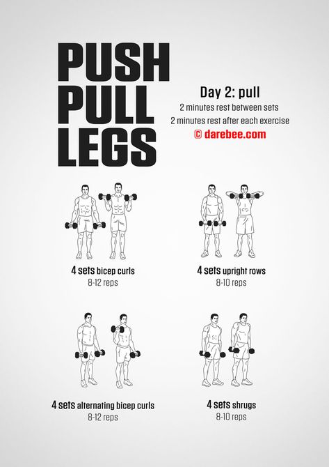 Push Pull Legs Routine, Push Pull Legs Workout, Push Day Workout, Pull Day Workout, Travel Workouts, Challenges Fitness, Workout Split, Push Pull Legs, Full Body Dumbbell Workout