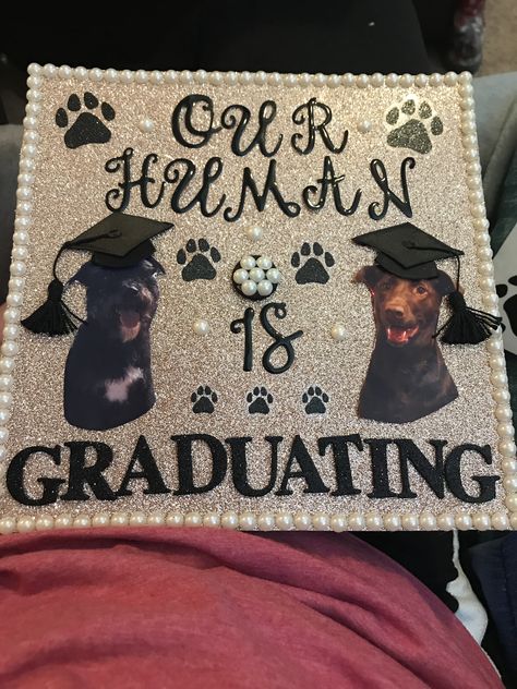 Vet School Cap Decoration, Graduation Cap Ideas With Pictures, Grad School Graduation Cap, Vet Assistant Graduation Cap Ideas, Veterinary Cap Decoration, Vet Med Graduation Cap, Pre Vet Graduation Cap, Veterinarian Cap Ideas, Dog Mom Graduation Cap