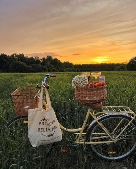 Biking Aesthetic, Bicycle Aesthetic, خواتم خطوبة, Bike Aesthetic, Spring Mood, Spring Aesthetic, Spring Vibes, Summer Dream, Nature Aesthetic