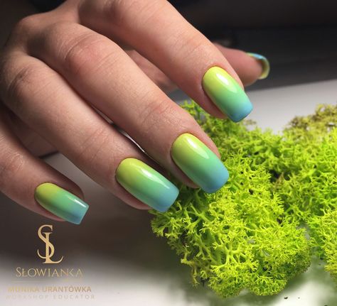 #ombre #nails #nailart #ombrenails #spring #mani #nailartideas Green Blue Ombre Nails, Green And Blue Ombre Nails, Green And Yellow Ombre Nails, Ombre Nails Green, Green Ombré Nails, Green Ombre Nails, Ombre Nail Colors, Ombre Gel Nails, Blue Ombre Nails