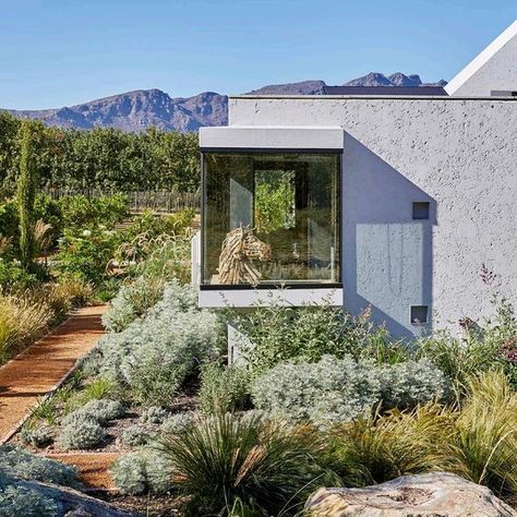 Outside&In Magazine (@out_side_and_in) • Instagram photos and videos Cape Dutch Architecture, Gin Garden, Modern Cape, South African Homes, Regenerative Farming, Dutch Architecture, Cape Dutch, Dutch Gardens, African Home