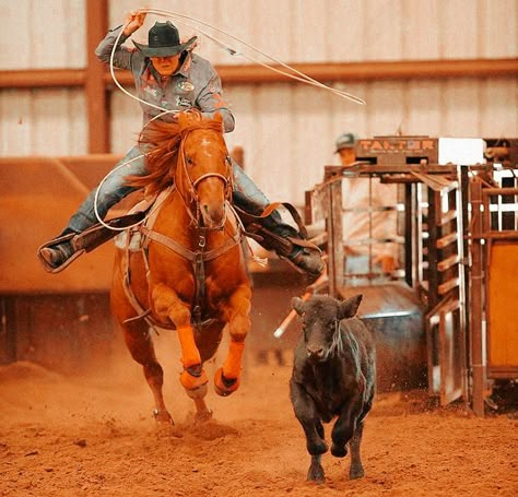 Aesthetic Rodeo Pictures, Breakaway Roper Aesthetic, Western Rodeo Aesthetic, Rodeo Life Aesthetic, Breakaway Roping Aesthetic, Roping Aesthetic, Western Riding Aesthetic, Barrel Racing Aesthetic, Rodeo Roping