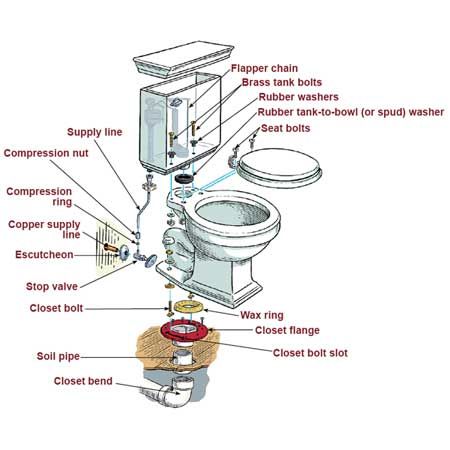 Illustration: Gregory Nemec | thisoldhouse.com | from How to Install a Toilet Replace Bathroom Sink, Bathroom Sink Plumbing, Basement Toilet, Toilet Plumbing, Plumbing Rough In, House Plumbing, Residential Plumbing, Toilet Repair, Toilet Installation